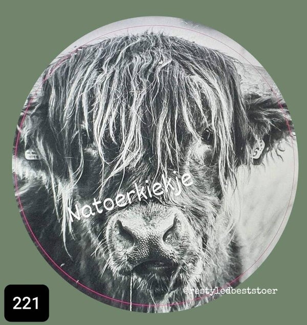 Muurcirkel Schotsehooglander 221