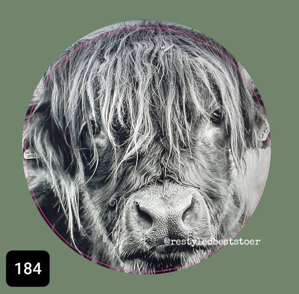 Muurcircel 184 Schotsehooglander