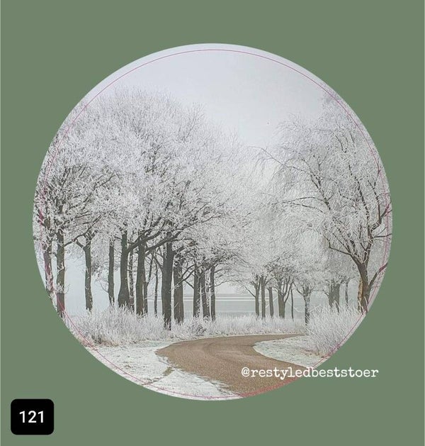Muurcirkel Weg met Sneeuwbomen 121