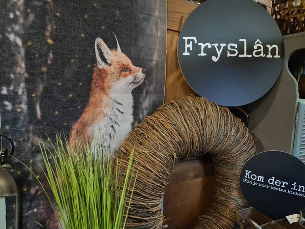 Vos op doek met lichtjes