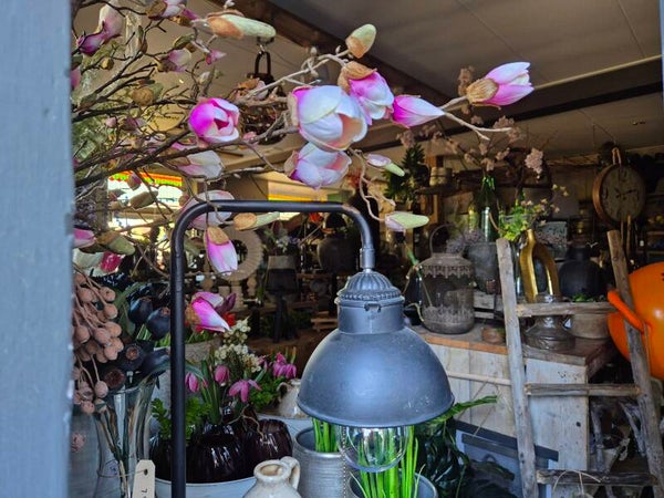 Klemlamp