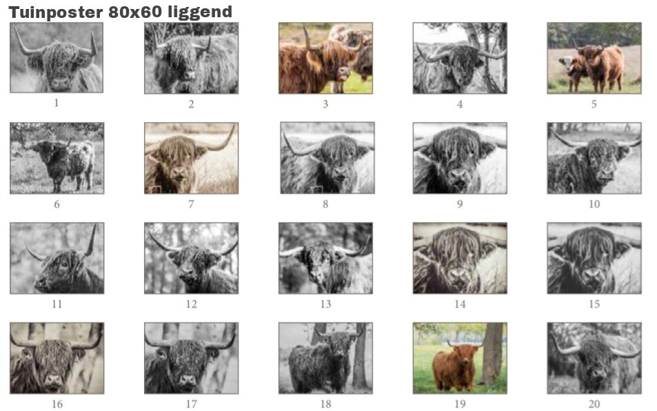 Tuinposter   1/20