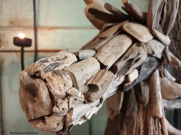 Paarden hoofd van drijfhout