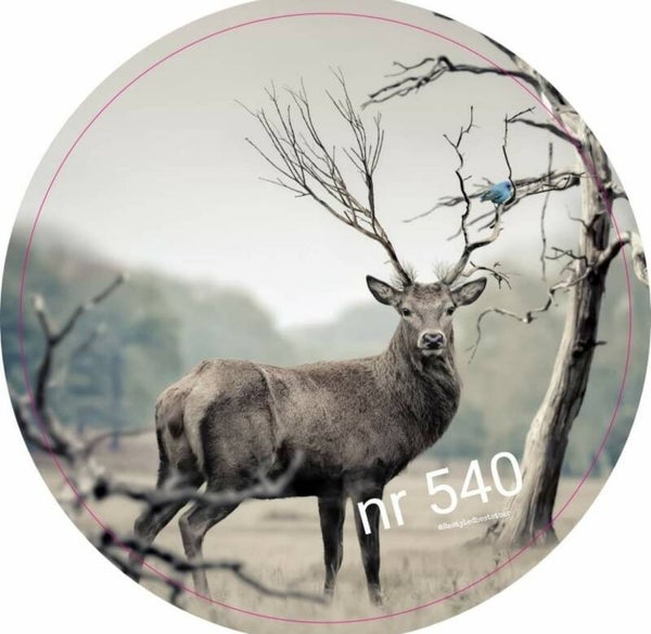 Muurcirkel Hert 540