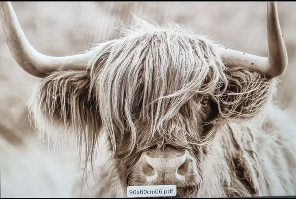 Inductie kookplaat beschermer nr: 6 Schotsehooglander sepia