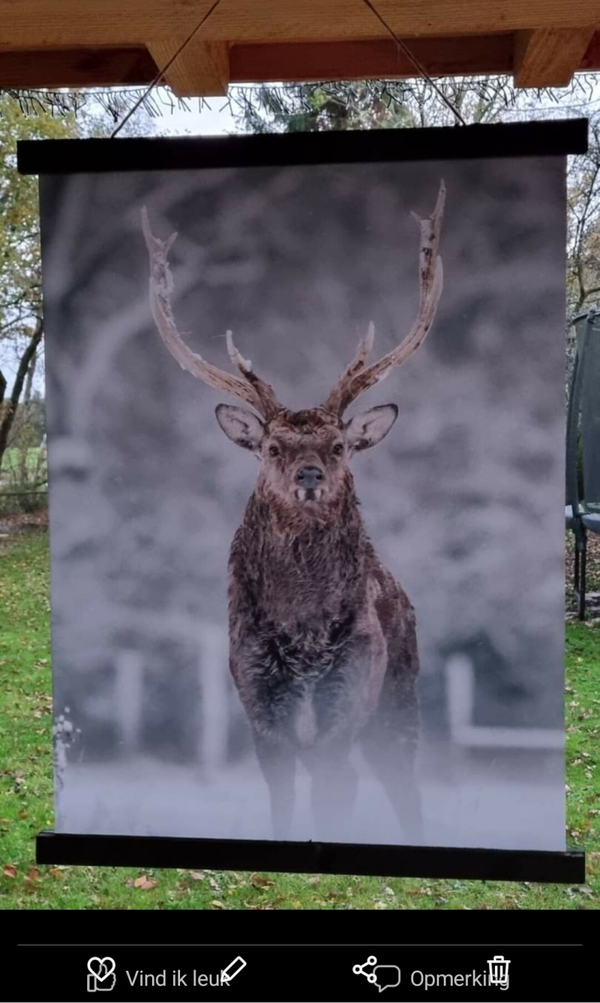 Wanddoek Hert in optrekkend dauw