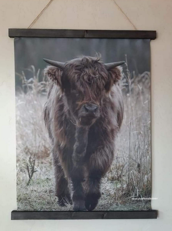 Wanddoek Schotsehooglander jong 33