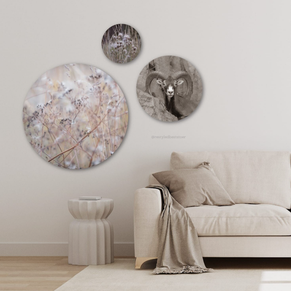 Muurcirkel Set Landelijk zacht