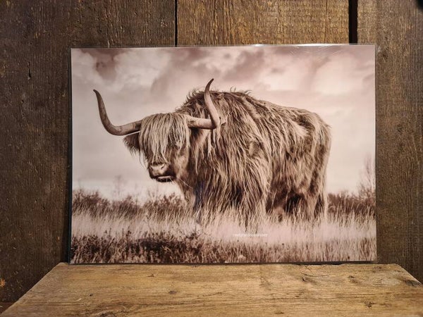 Placemat Schotsehooglander groot nr 14