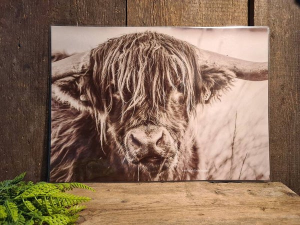 Placemat Schotsehooglander nr 4