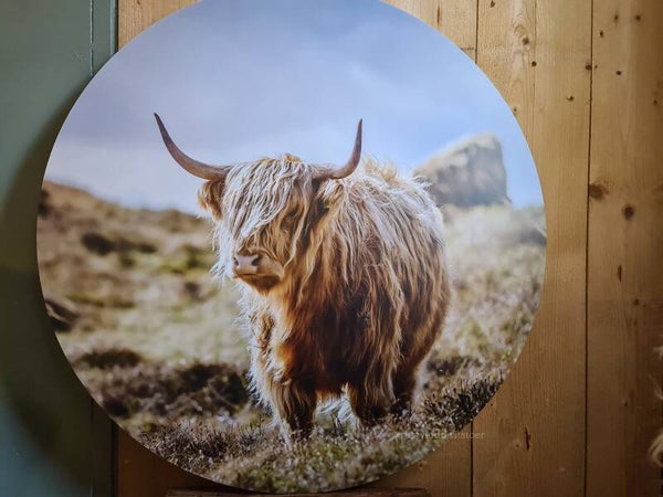 Muurcirkel Schotsehooglander 644