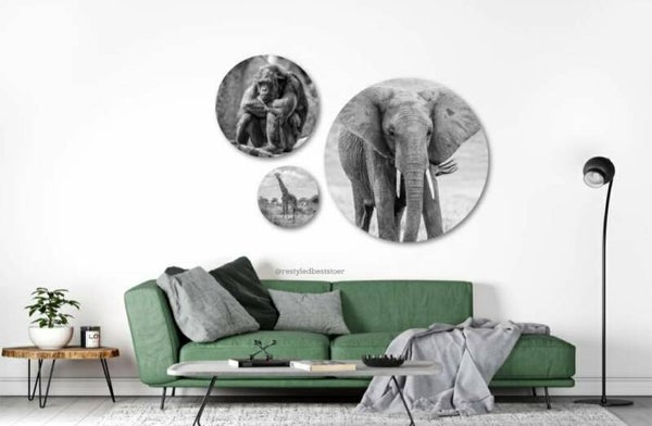 Muurcirkel set Olifant zwart-wit