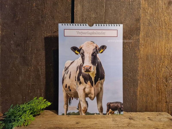 Verjaardagskalender Hollandse koe