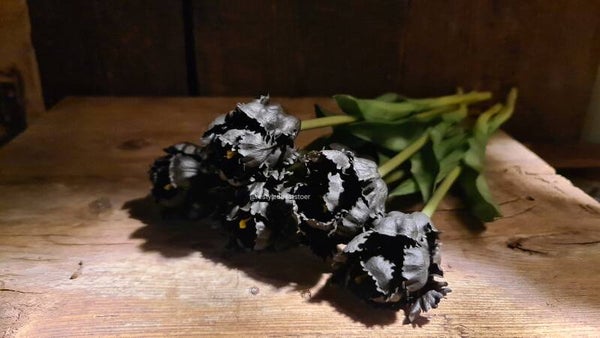 Tulp gekartelde rand