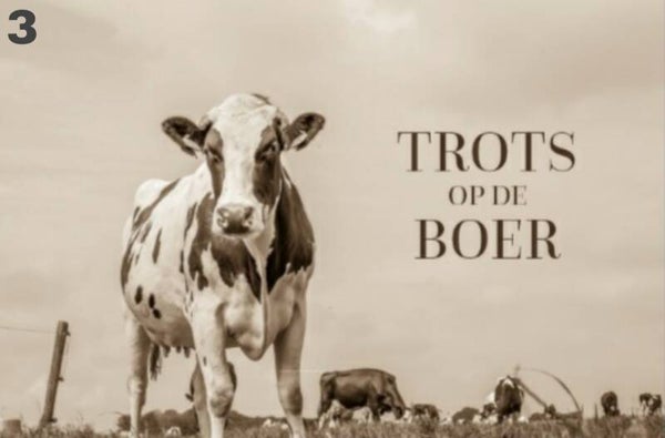 Tuinposter Hollandse koe 3 - Trots op de boer Sepia