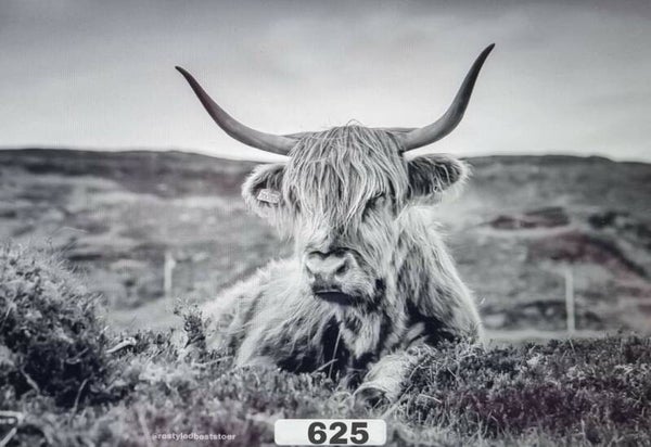 Spatscherm Hooglander liggend grijs 625