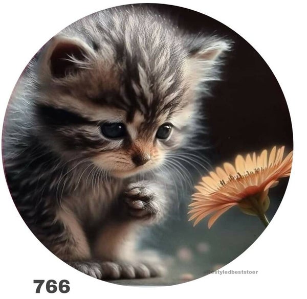 Poesje 766