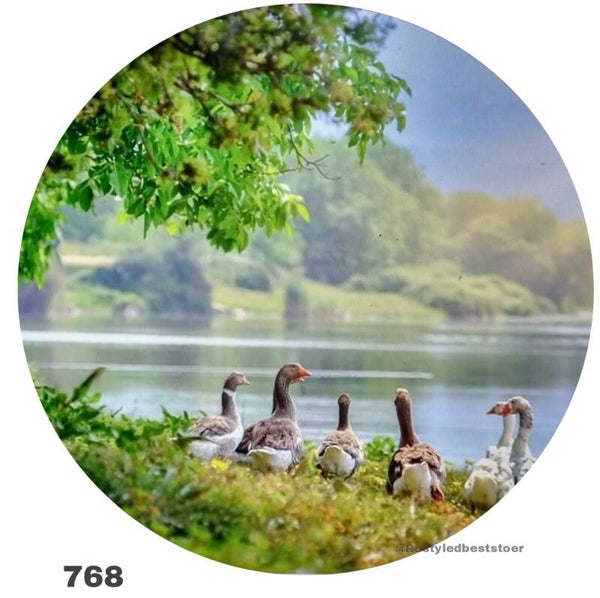 Vlaamse gans 768