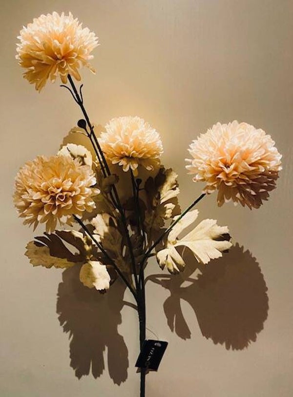 Dahlia