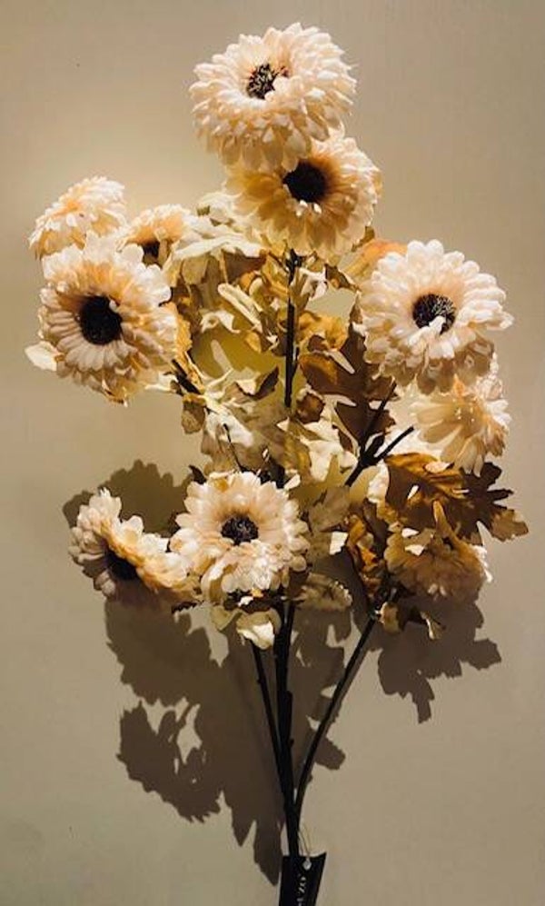 Gerbera