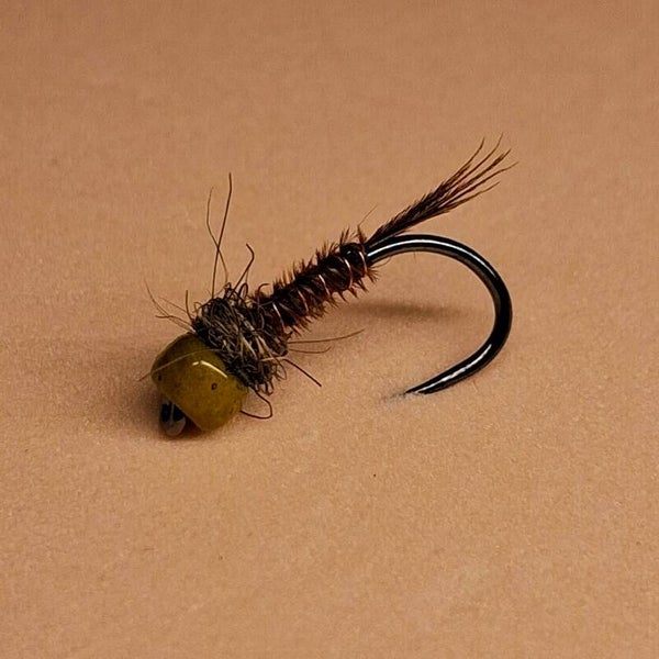 GLSF Olive