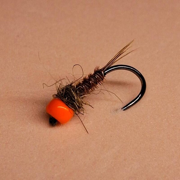 GLSF Orange