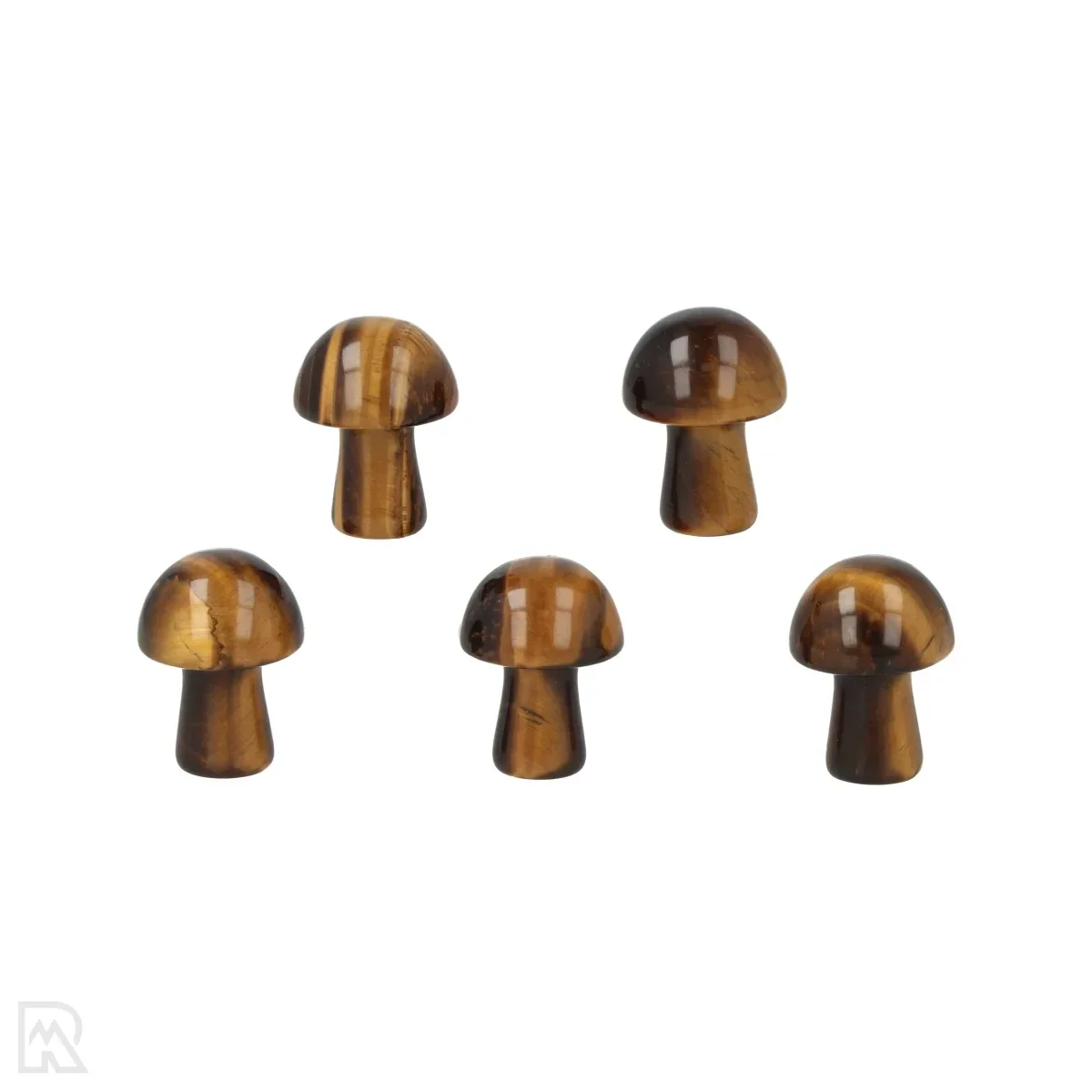 Tijgeroog paddenstoel