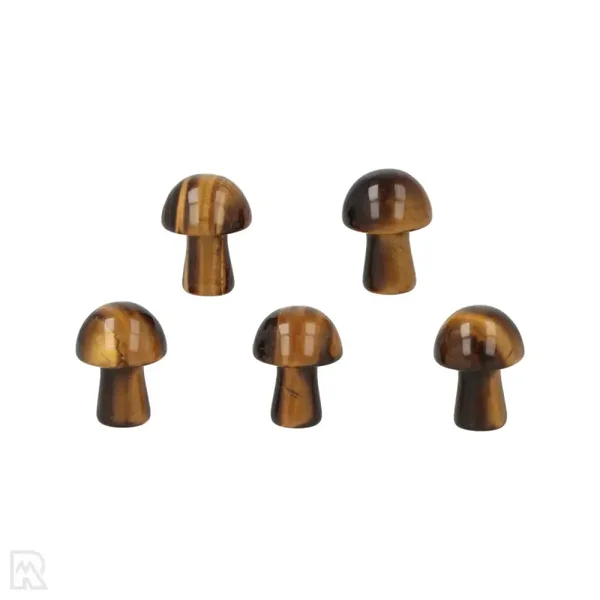 Tijgeroog paddenstoel