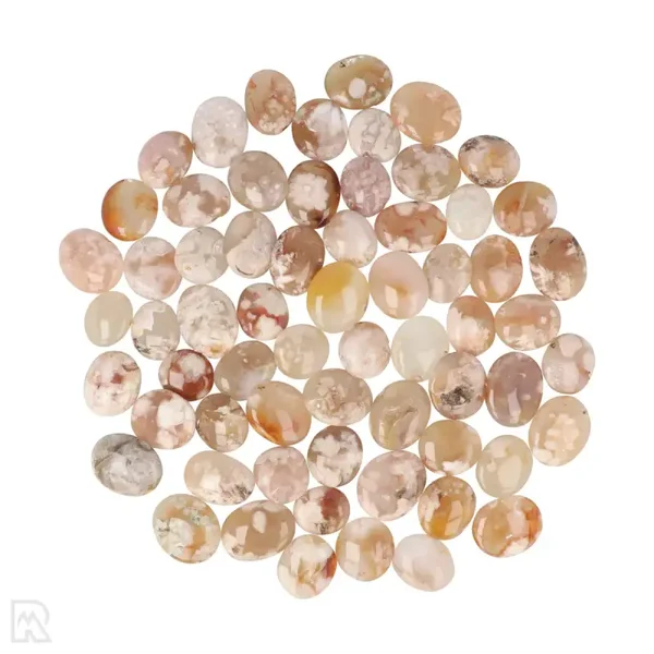 Bloem Agaat zaksteen