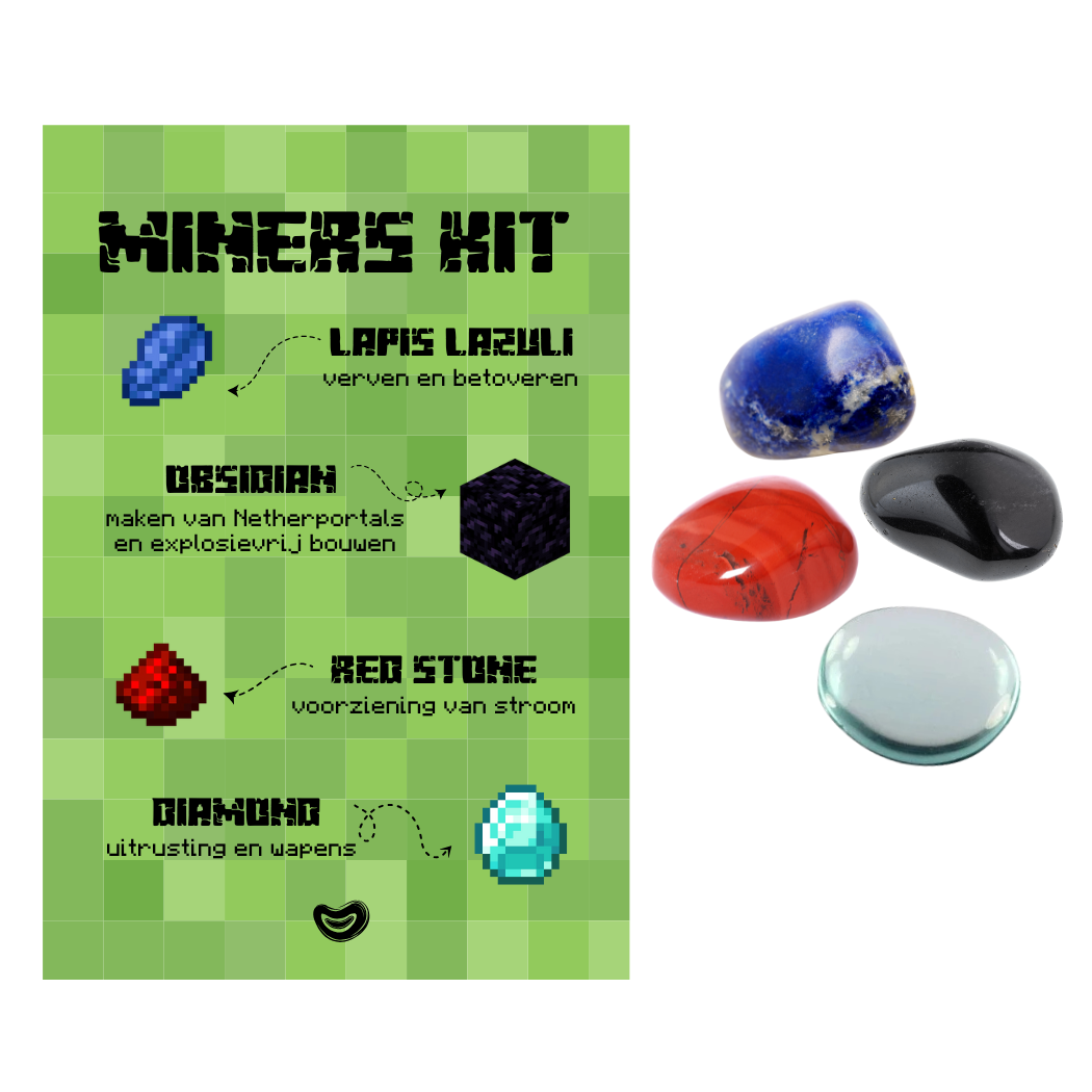 Miners setje (Minecraft)