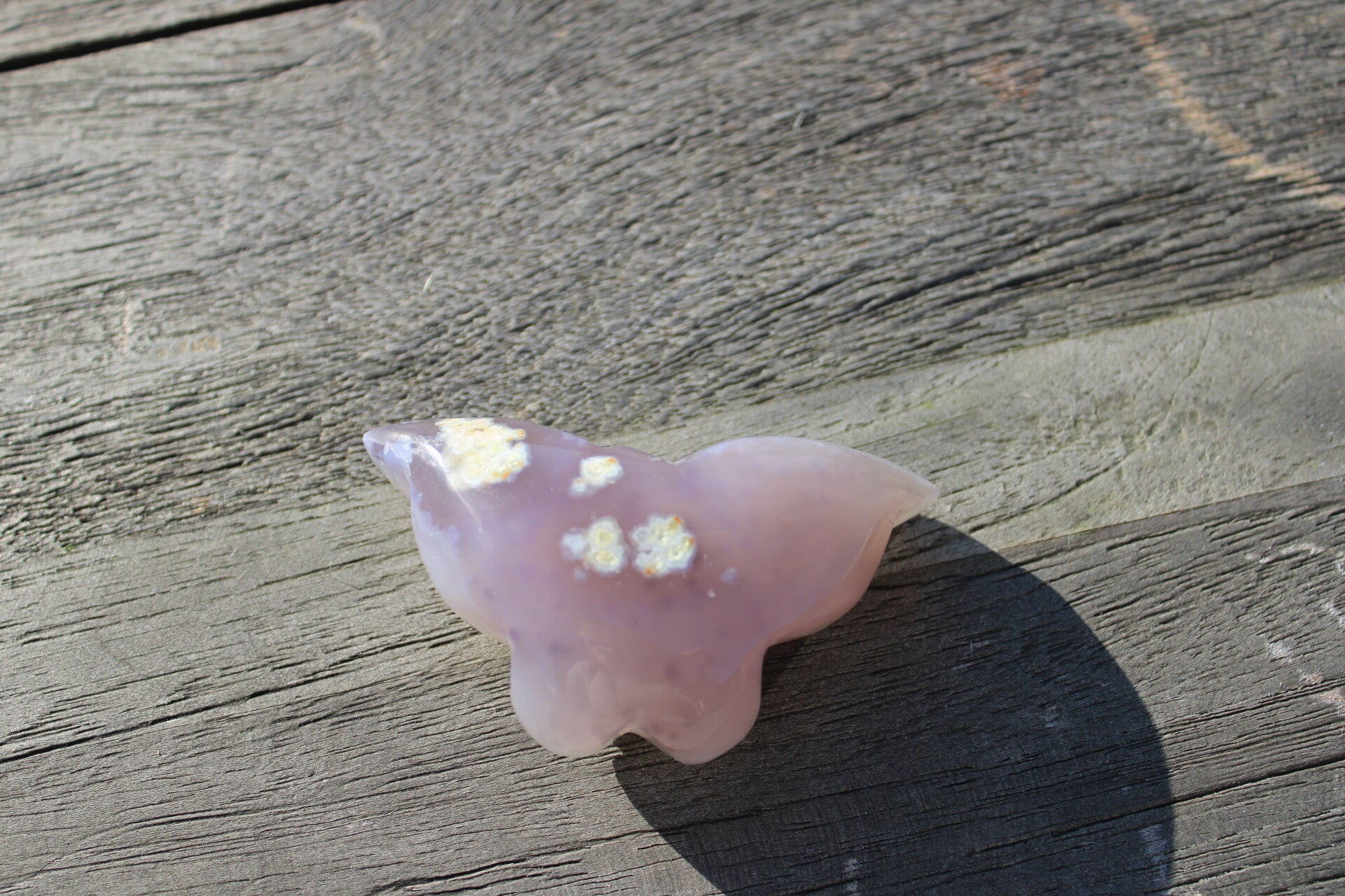 Agaat vlinder gepolijst #2