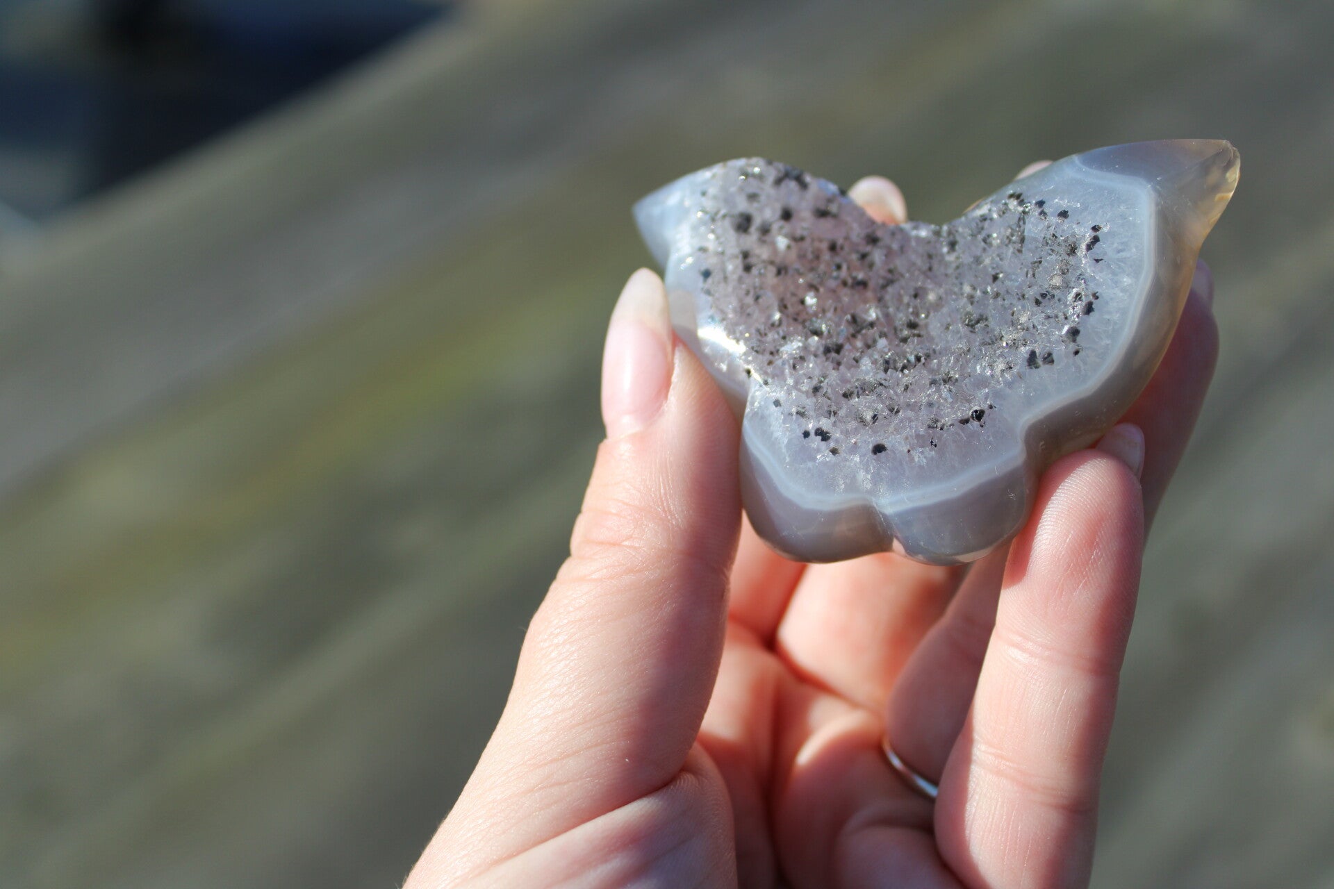 Agaat vlinder gepolijst #8