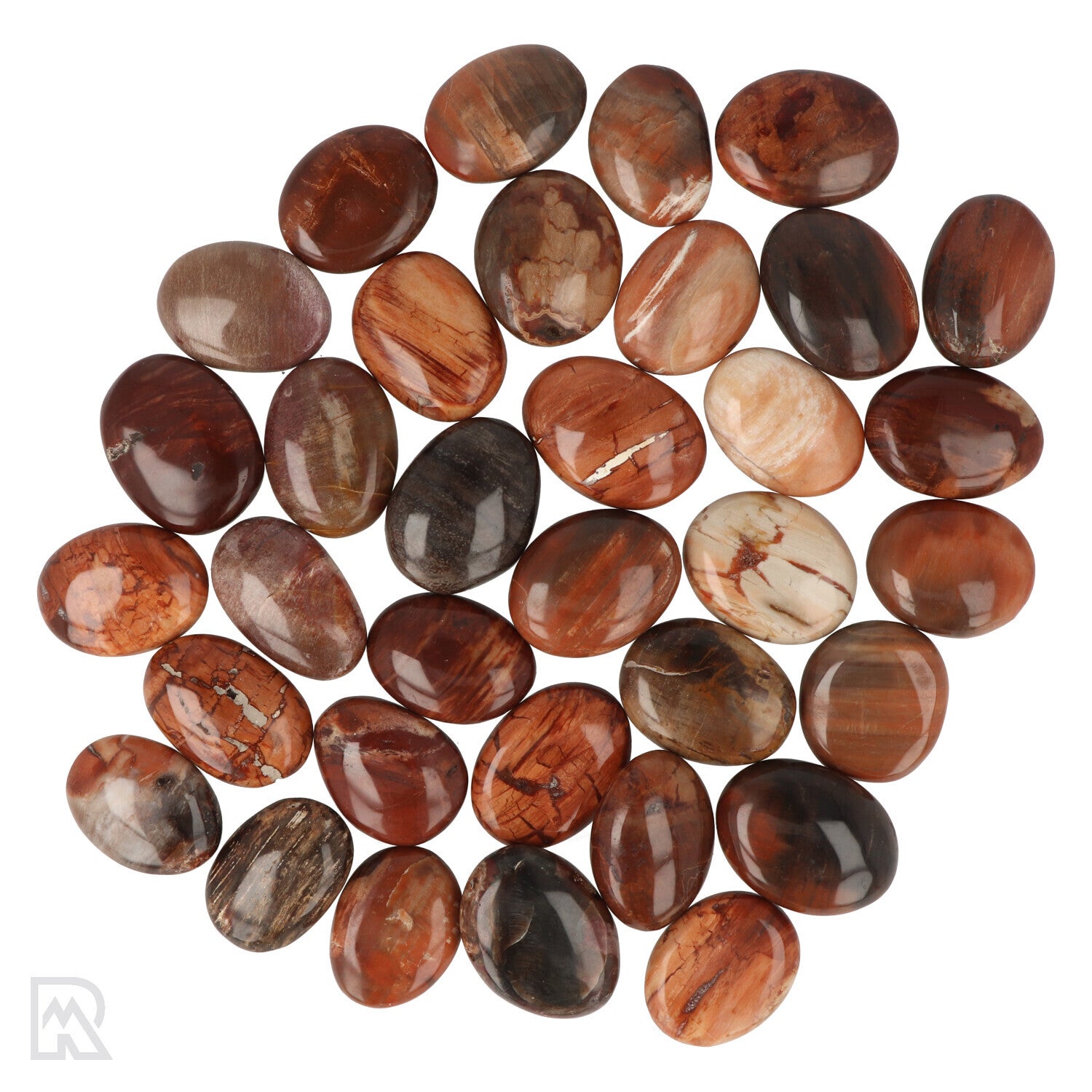 Versteend hout zaksteen