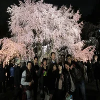img_7564-standard-et7o04.webp