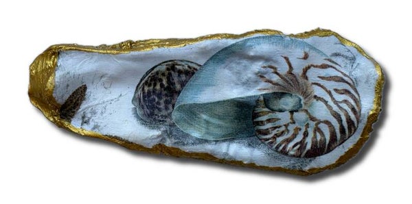 Nautilusschelp op gouden oesterschelp – XXL (3441)