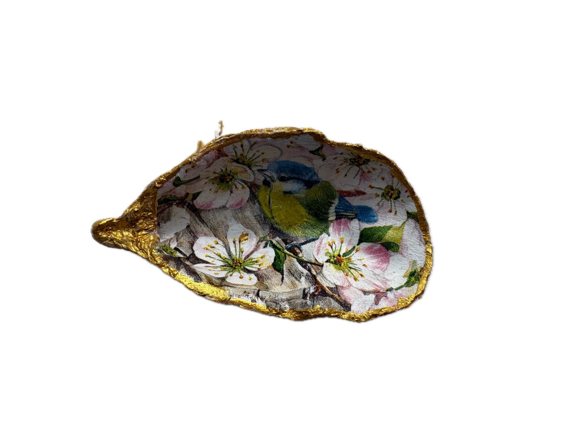 Kleine oesterschelp No. 7197