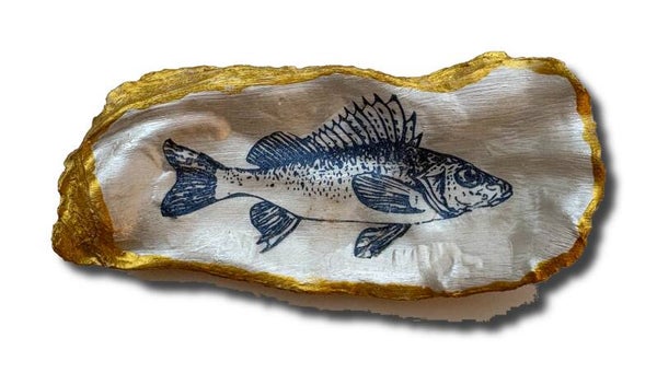 XL Oesterschelp No. 8997