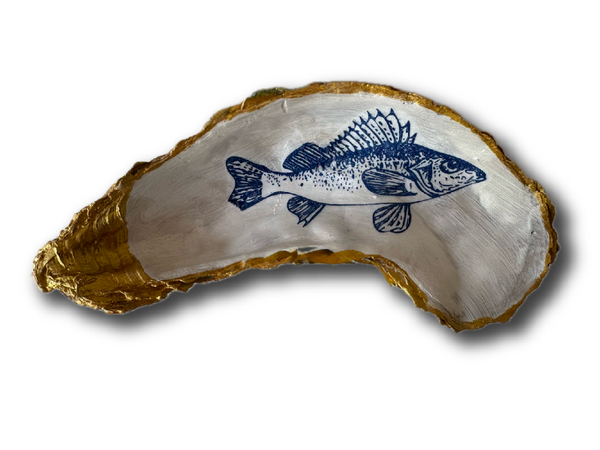 XXL Oesterschelp No. 804