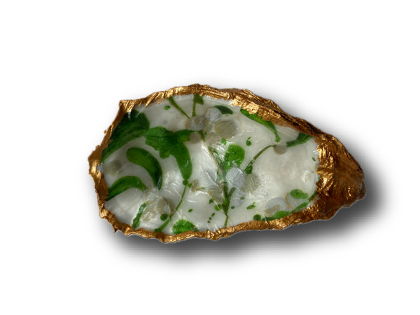 Oesterschelp No. 6966