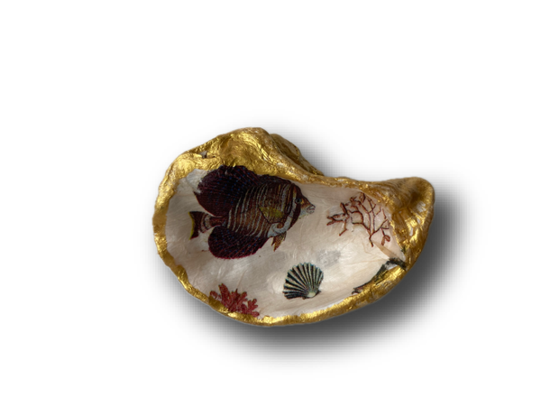Kleine oesterschelp No. 6971