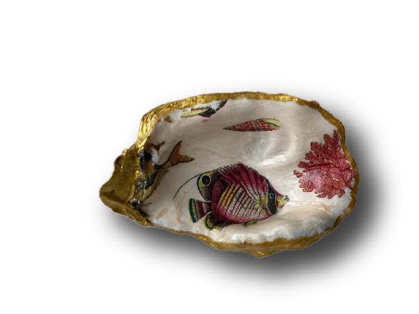 Kleine oesterschelp No. 6972