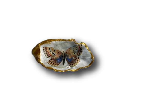 Kleine oesterschelp No. 7178