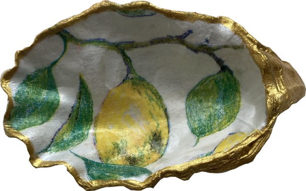 Oesterschelp No. 7378