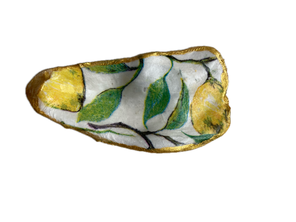 XL Oesterschelp No. 7595