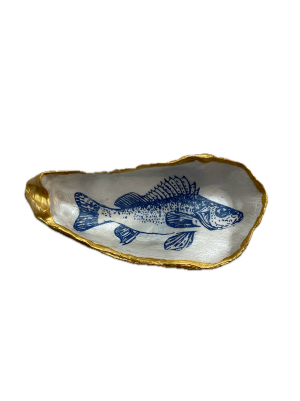 XL Oesterschelp No. 8530