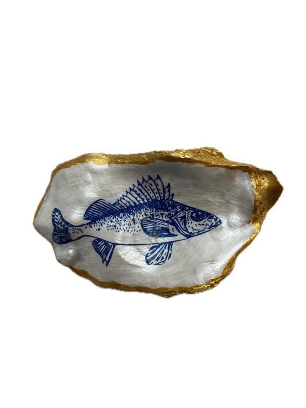 XL Oesterschelp No. 8531