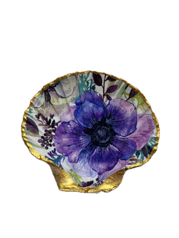 St. Jacobsschelp No. 9955