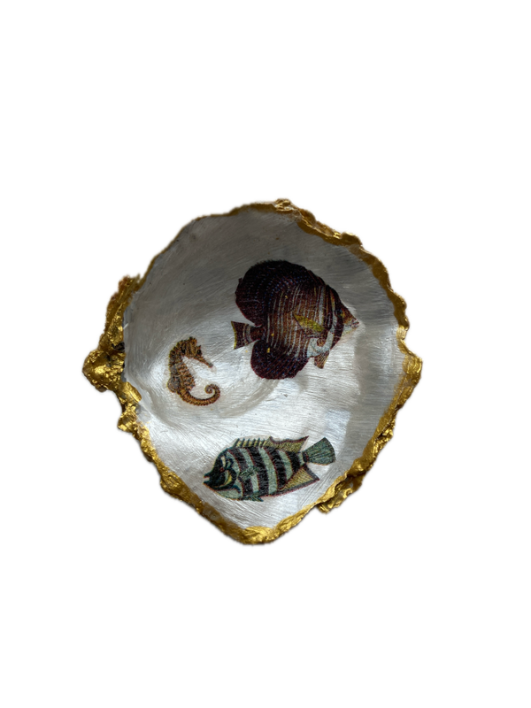 Kleine oesterschelp No. 9961