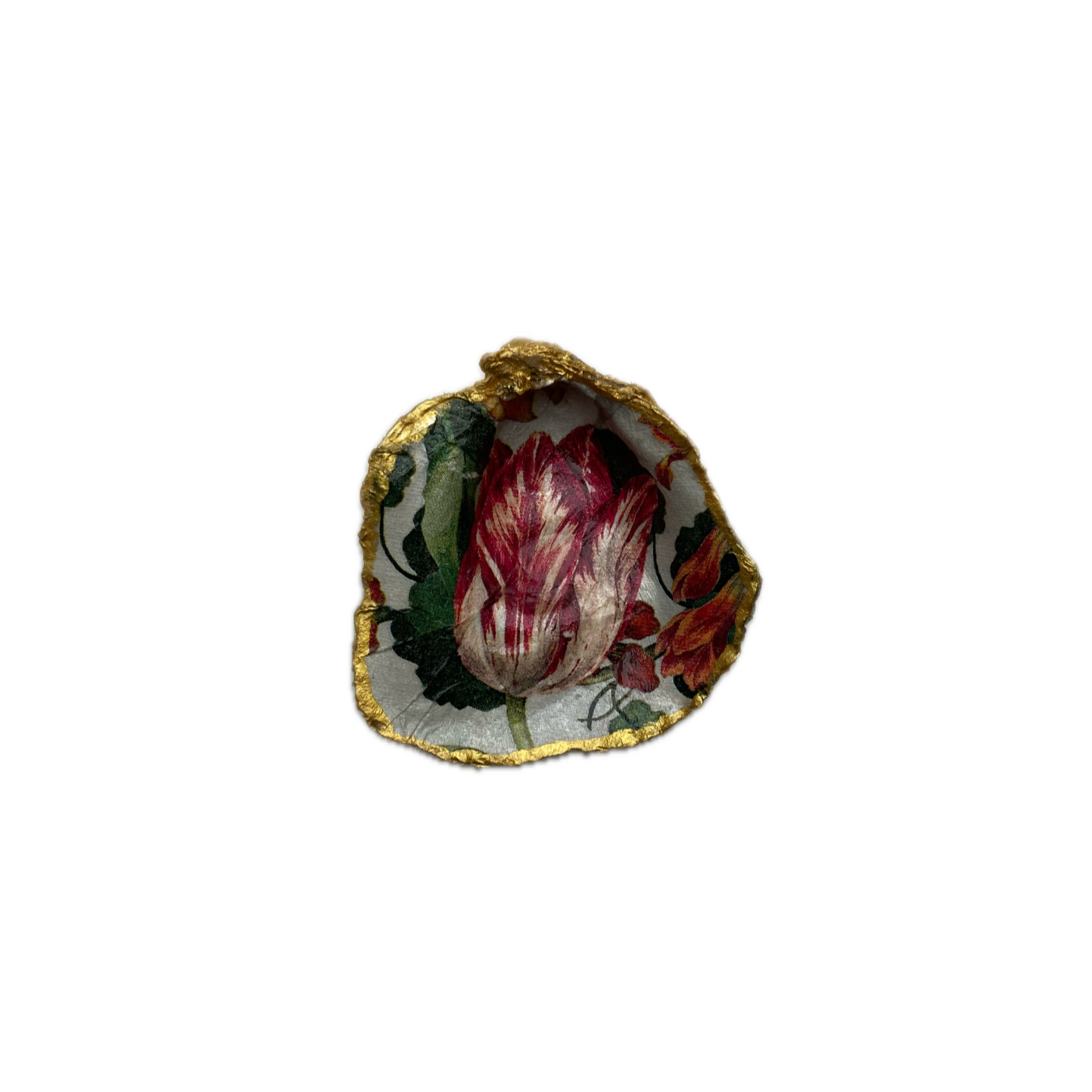 Oesterschelp No. 9011