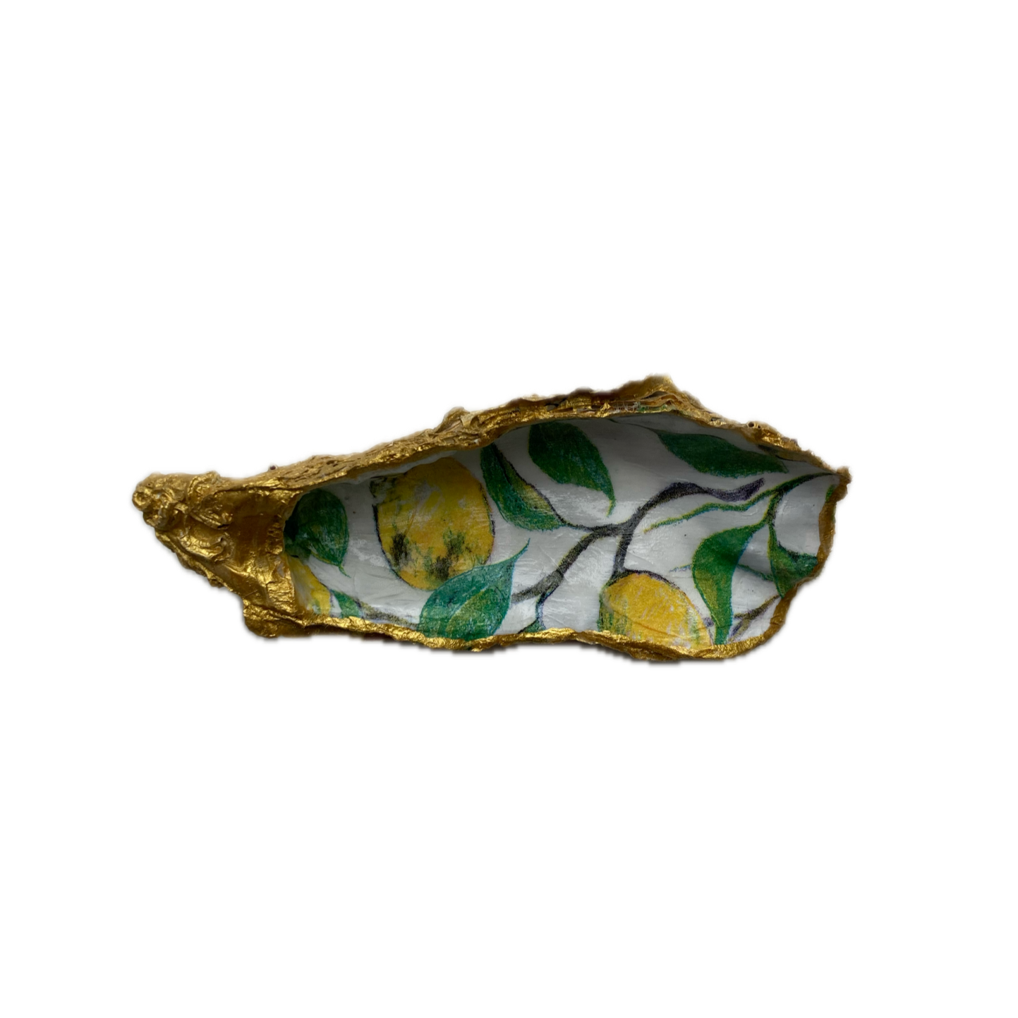 XXL Oesterschelp No. 8996